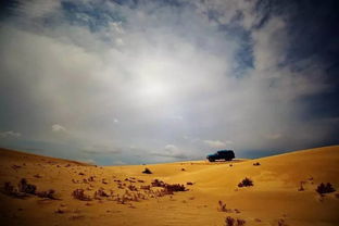 沙漠穿越体验行：一段难忘的探险之旅