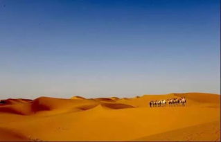 沙漠穿越体验行：挑战与美的交响乐章